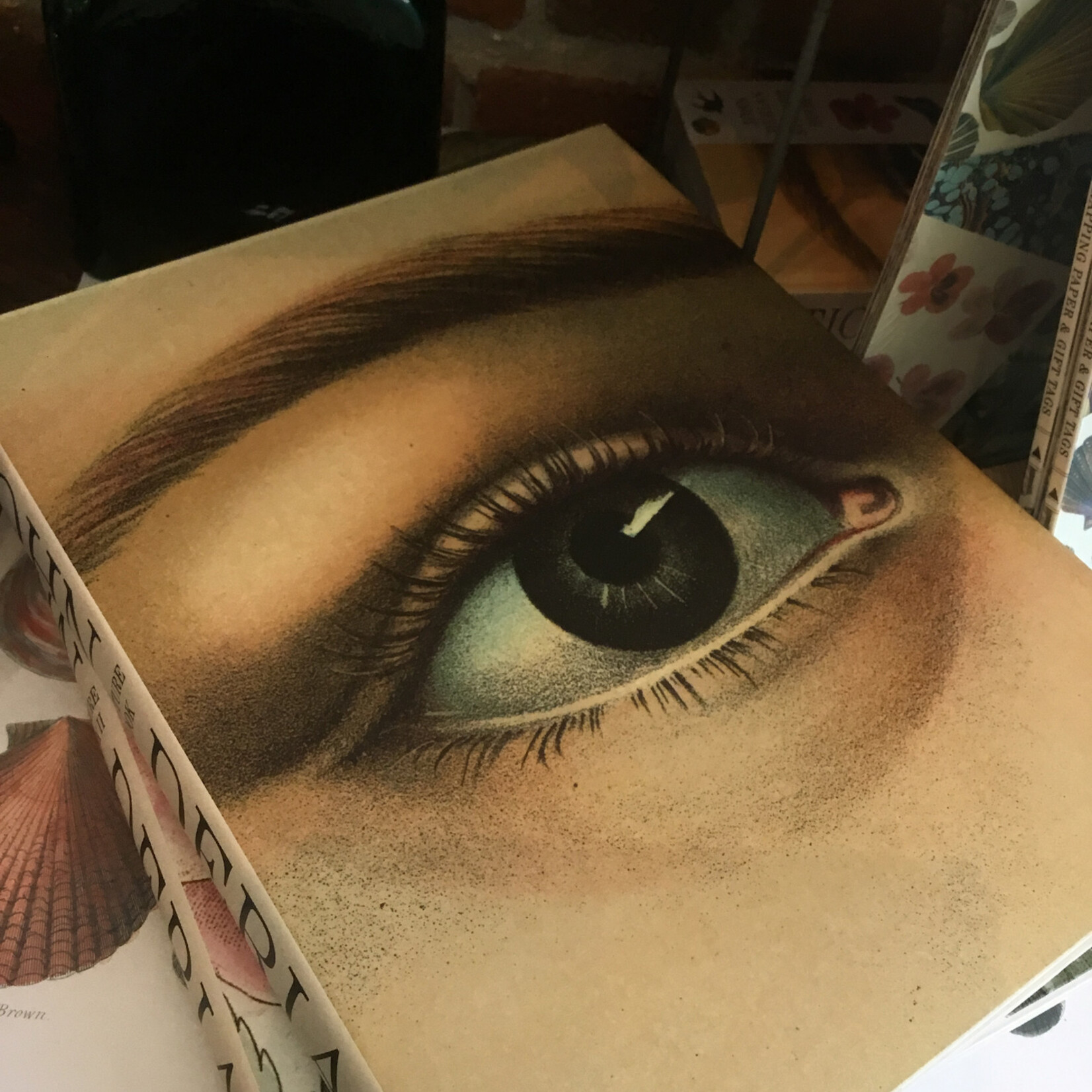 Hachette John Derian Picture Book