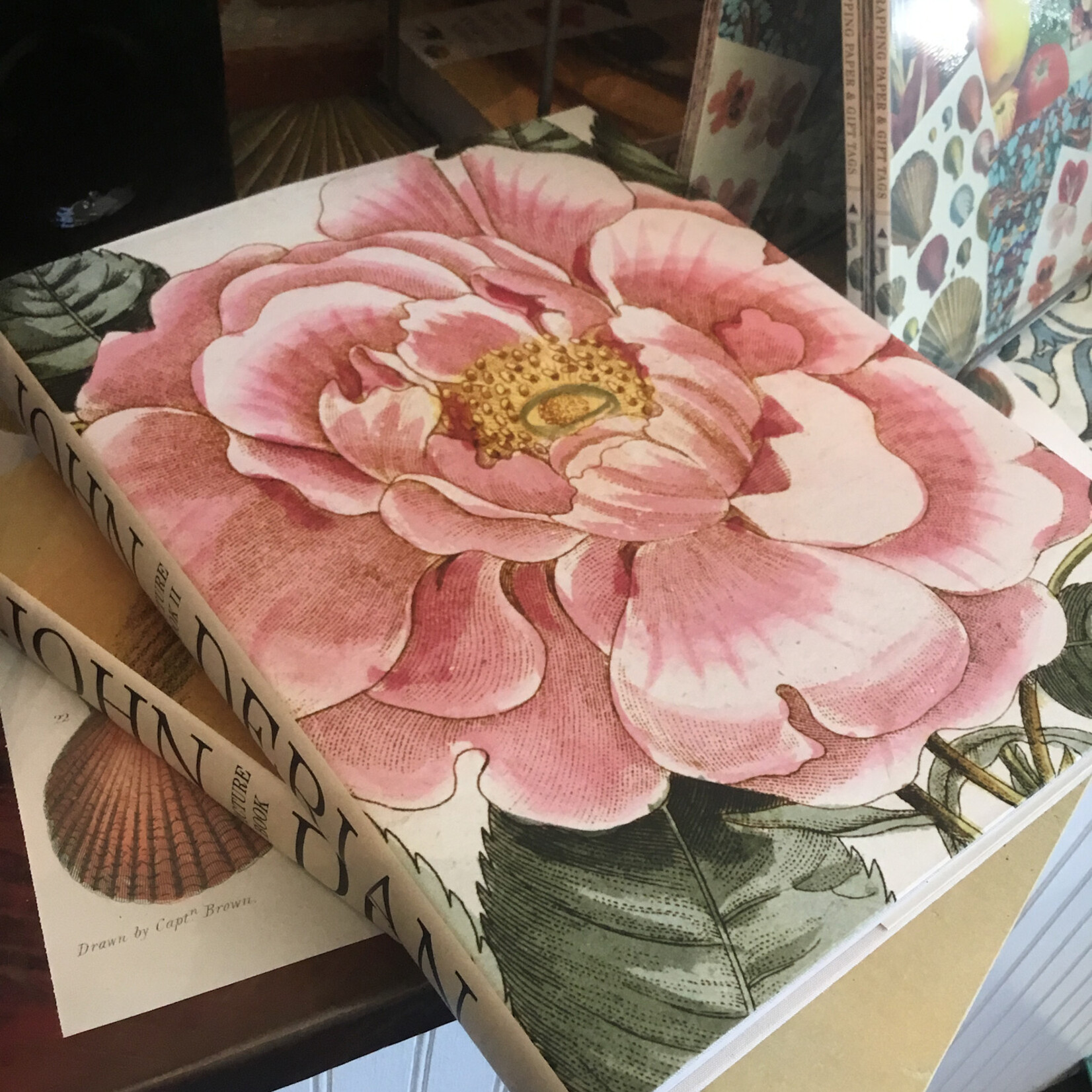 Hachette John Derian Picture Book 2