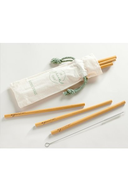 Bamboo Straw Set