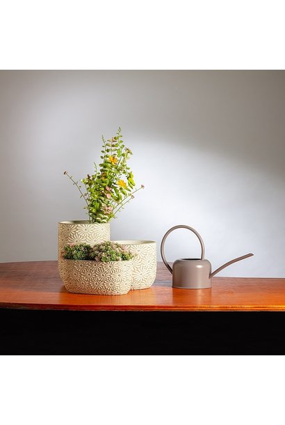 https://cdn.shoplightspeed.com/shops/643156/files/41451113/410x610x2/abbott-watering-can.jpg