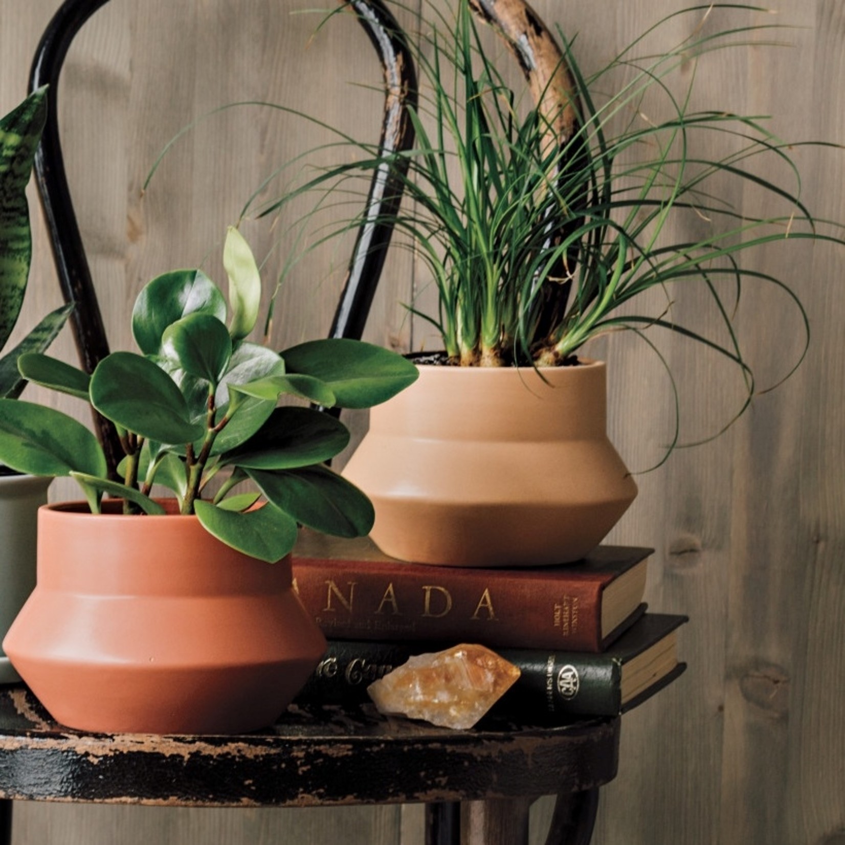 Mesa Plant Pot Castles and Cottages & Ciao Bella Boutique