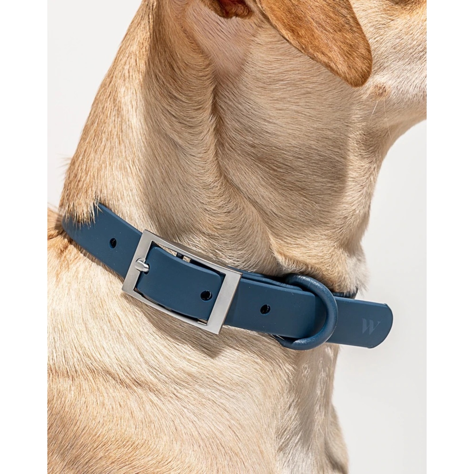 Wild One Collar Castles and Cottages & Ciao Bella Boutique