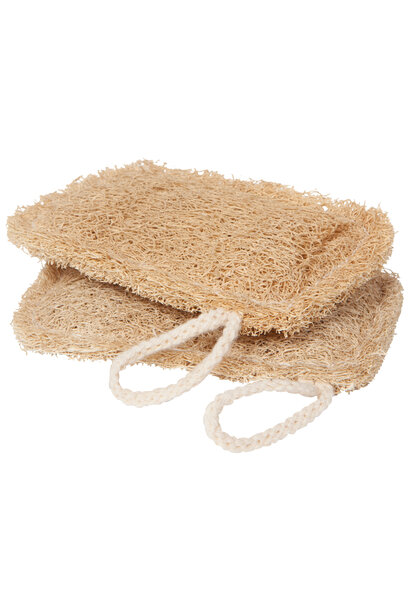 Loofah Dish Sponges Set