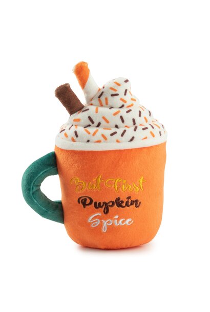 Pupkin Spice Latte Mug