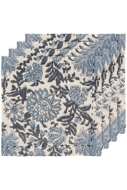 Printed Double Weave Napkin Set