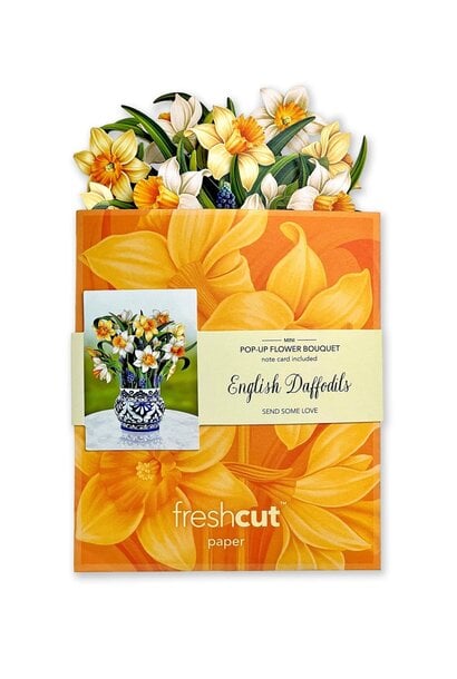 Mini Pop Up Cards