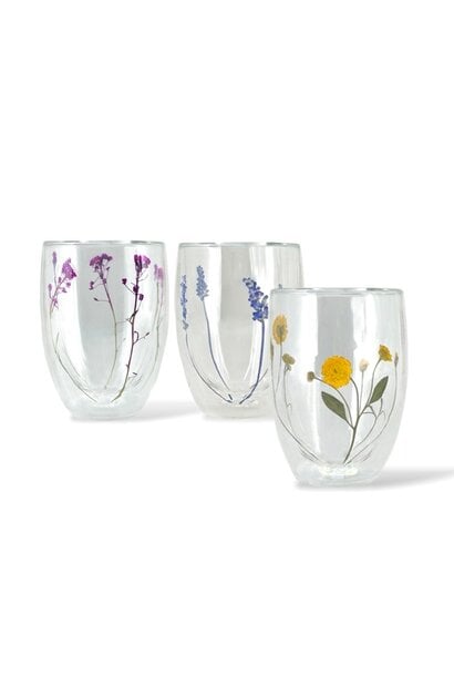 Double Wall Glass Tumbler