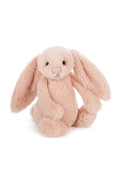 Bashful Bunny