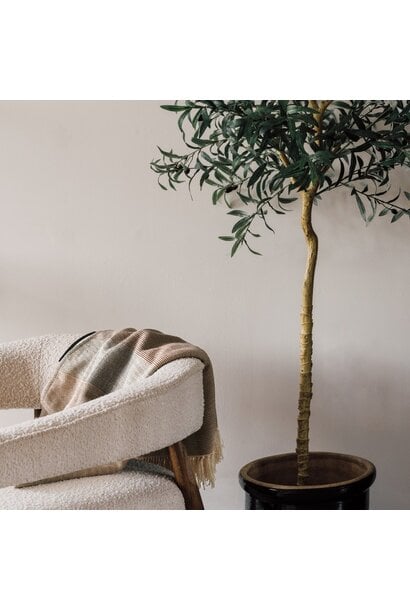 Dimension Cotton Throw