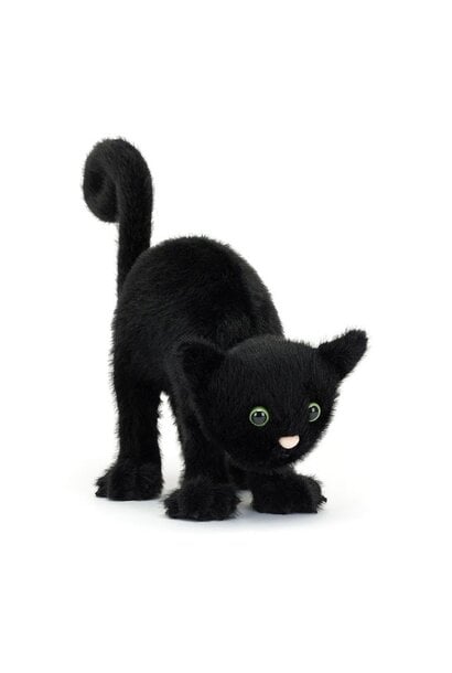 Spookipaws Cat