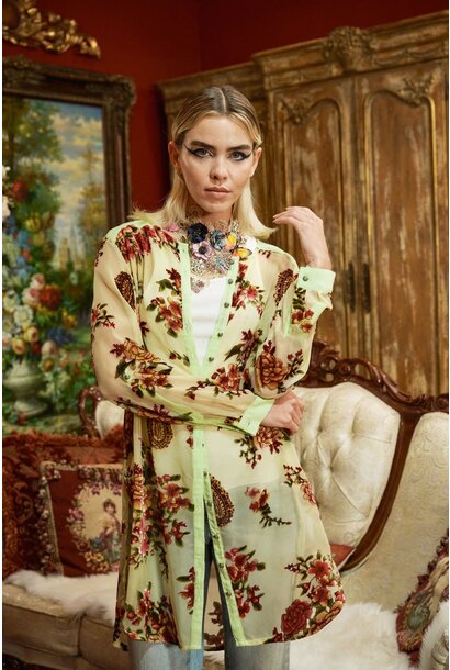 Dreamy Velvet Tunic