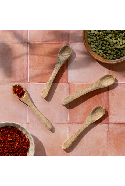 Mango Wood Mini Spoons Set