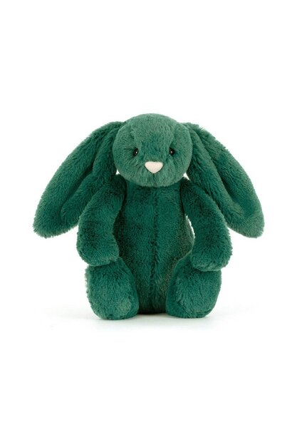 Bashful Teal Bunny