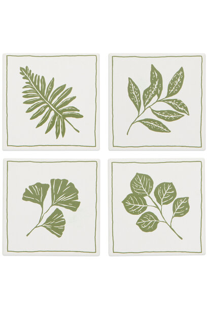 Fern & Frond Soak Up Coasters Set