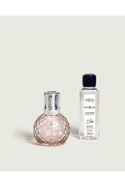 Disco Blush Fragrance Lamp Gift Set with Black Angelica
