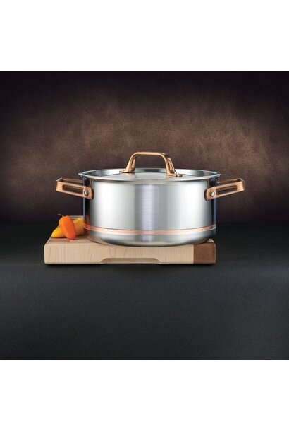 CopperClad  Dutch Oven