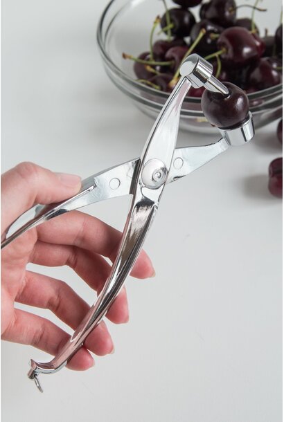 Cherry/Olive Pitter