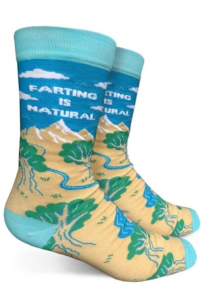Farting Is Natural Men's Socks