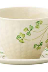 https://cdn.shoplightspeed.com/shops/643161/files/30636762/156x230x1/teapots-mugs-accessories-belleek-shamrock-cup-sauc.jpg