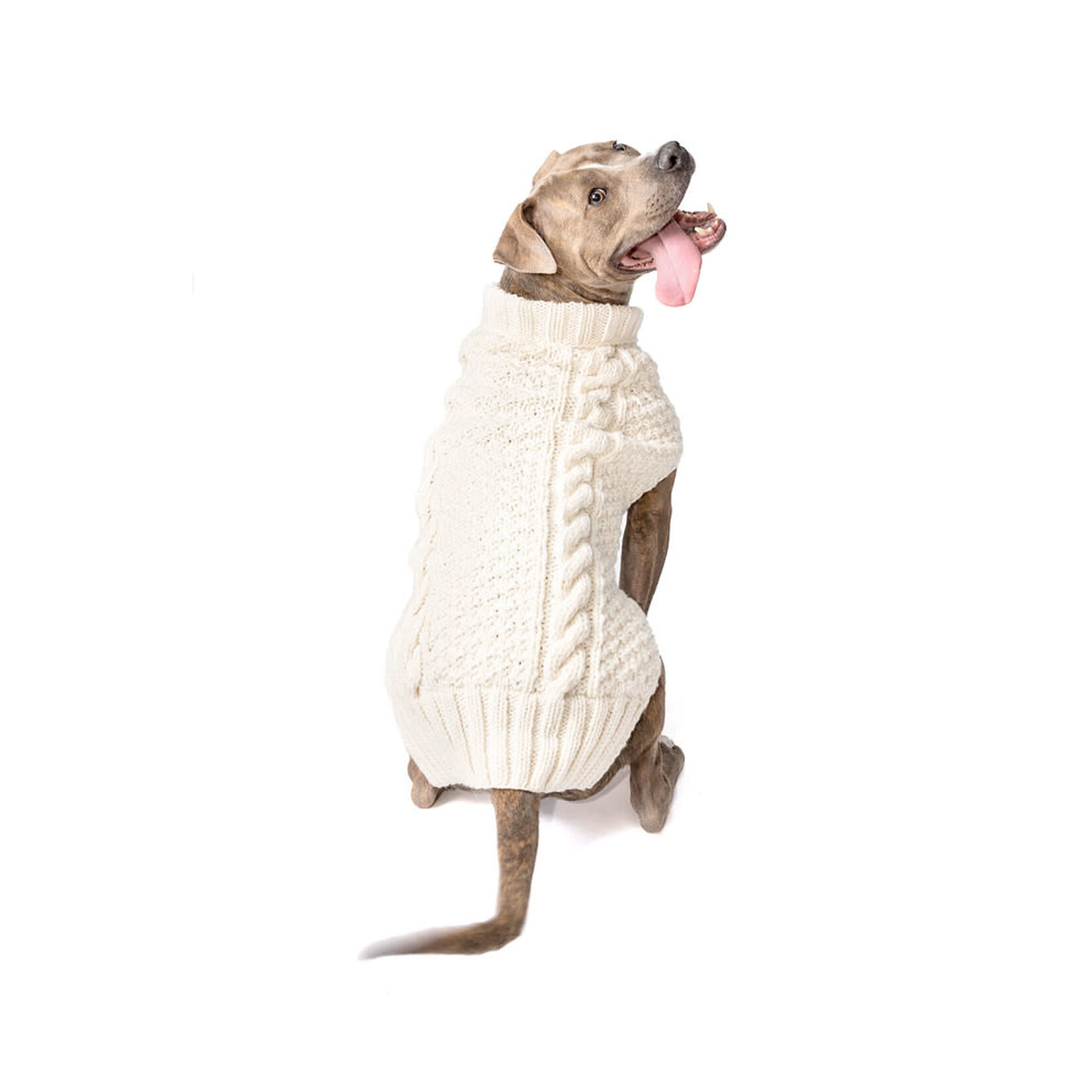 MISC PETS CHILLY CABLE KNIT DOG SWEATER - Natural