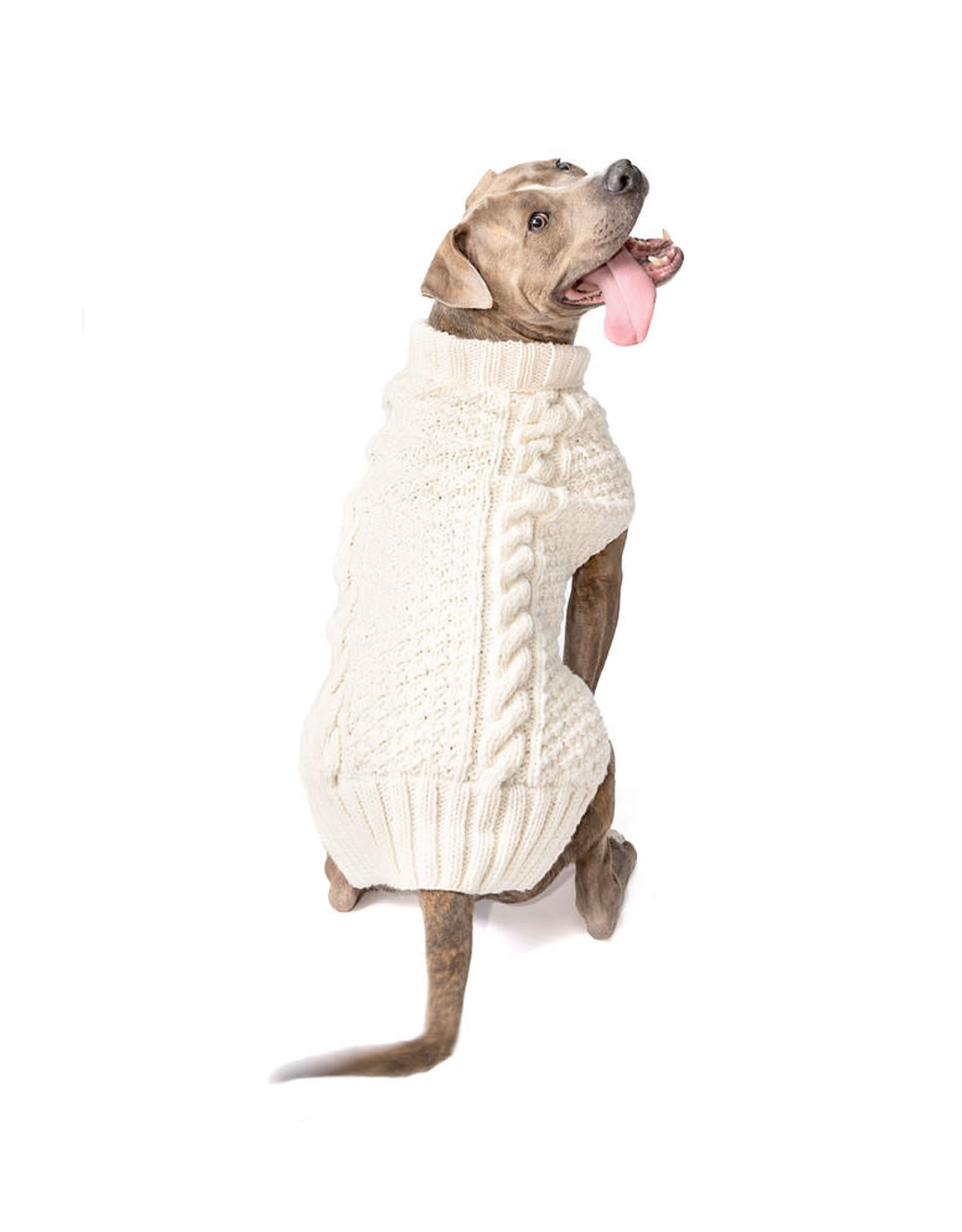 MISC PETS CHILLY CABLE KNIT DOG SWEATER - Natural