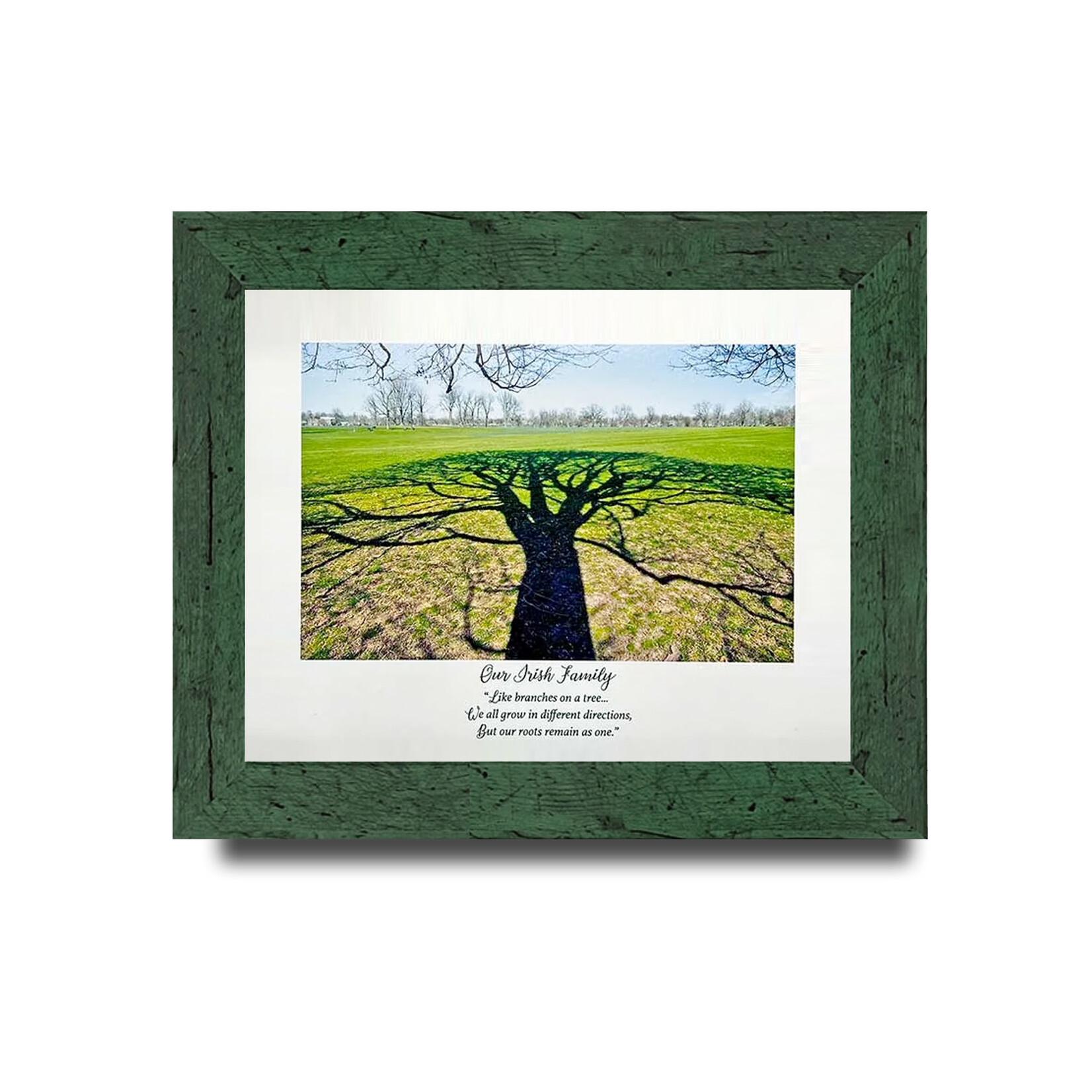 PLAQUES, SIGNS & POSTERS CLEARANCE: QUOTAGRAPH - Tree of Life Irish Family :FINAL SALE