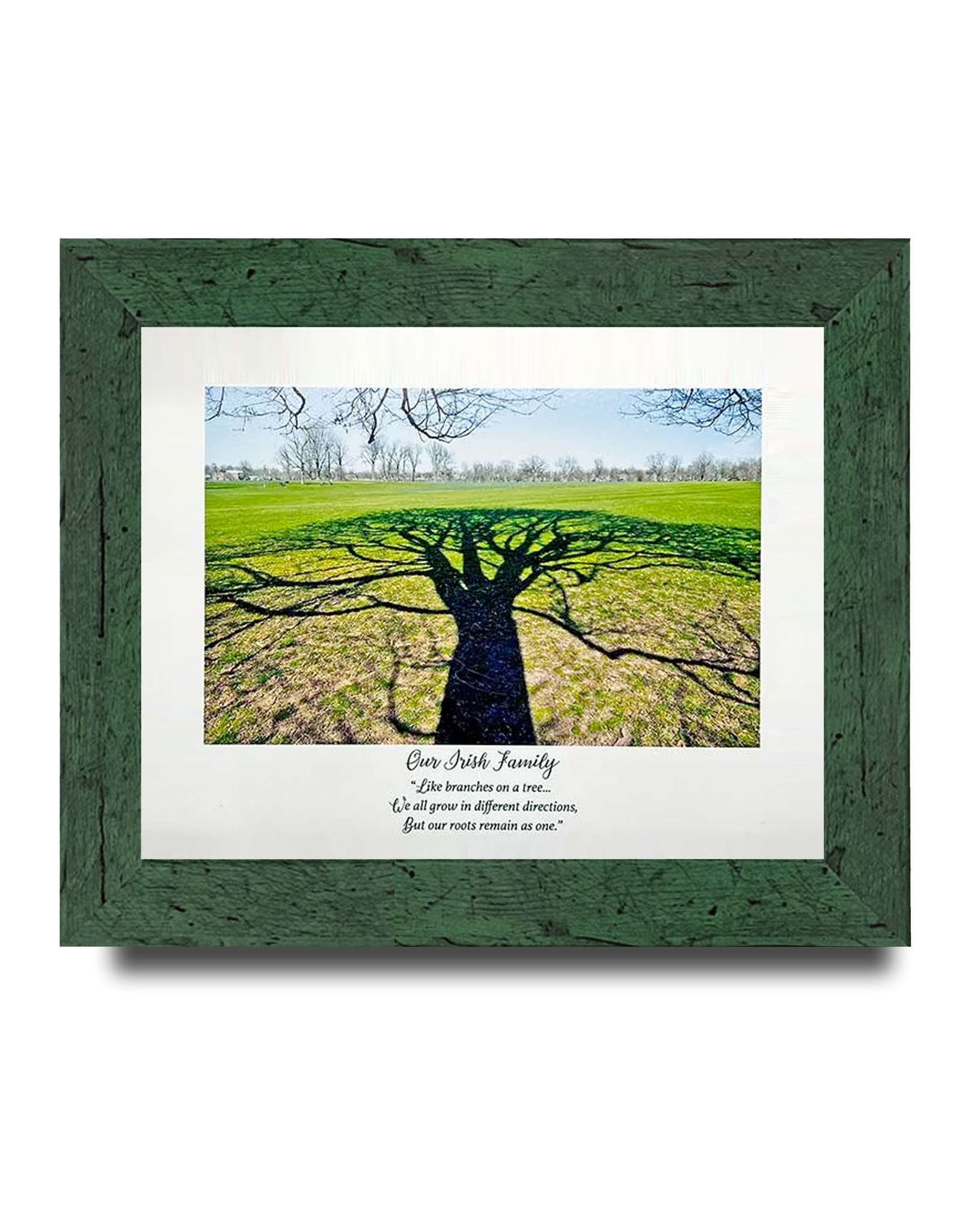 PLAQUES, SIGNS & POSTERS QUOTAGRAPH - Tree of Life Irish Family