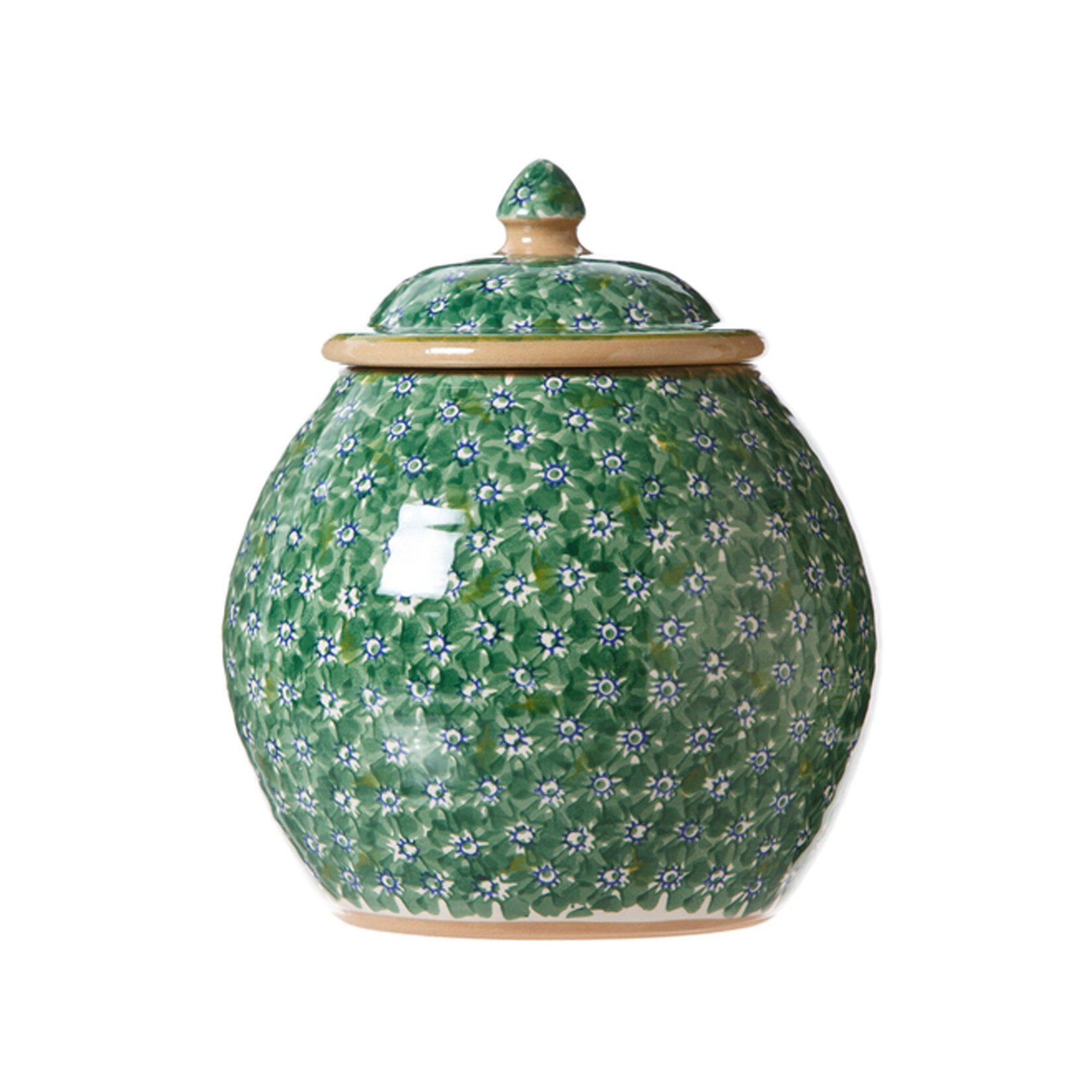 KITCHEN & ACCESSORIES NICHOLAS MOSSE COOKIE JAR - Green Lawn