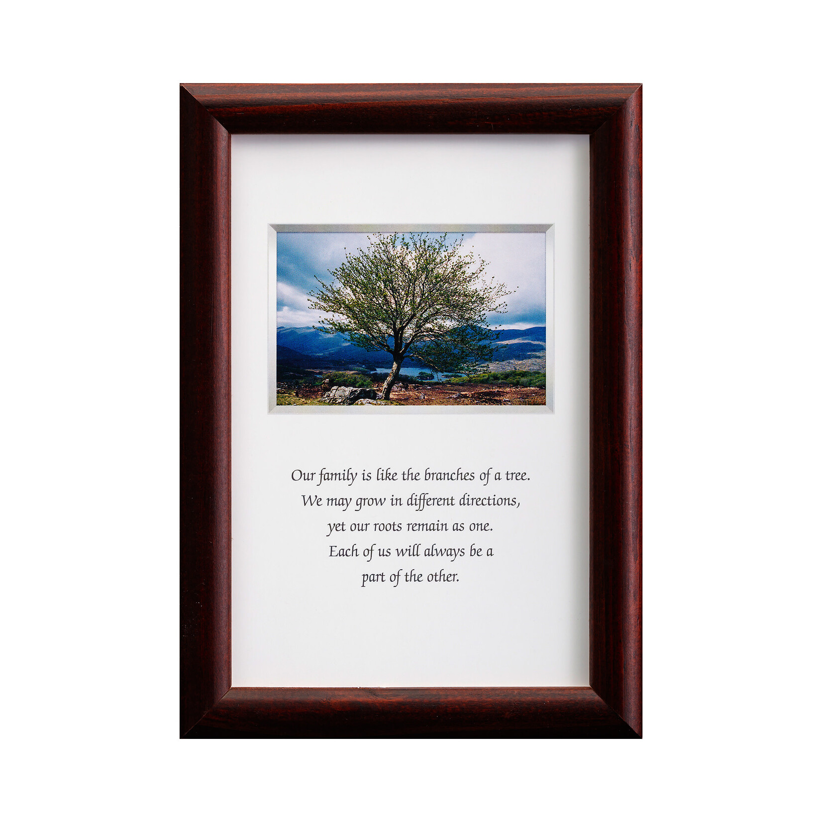 PLAQUES, SIGNS & POSTERS MINI IRISH PRINTS - Family Blessing