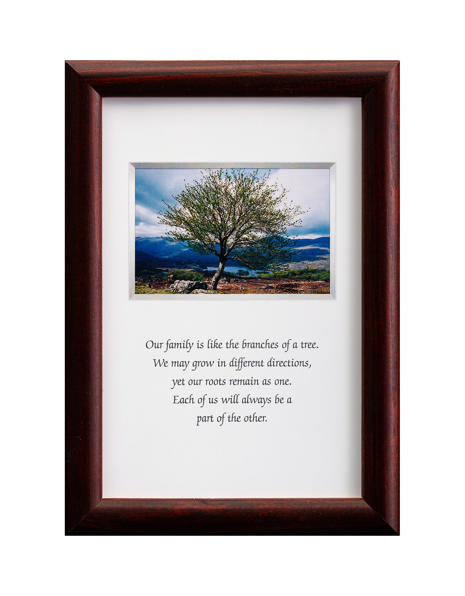 PLAQUES, SIGNS & POSTERS MINI IRISH PRINTS - Family Blessing