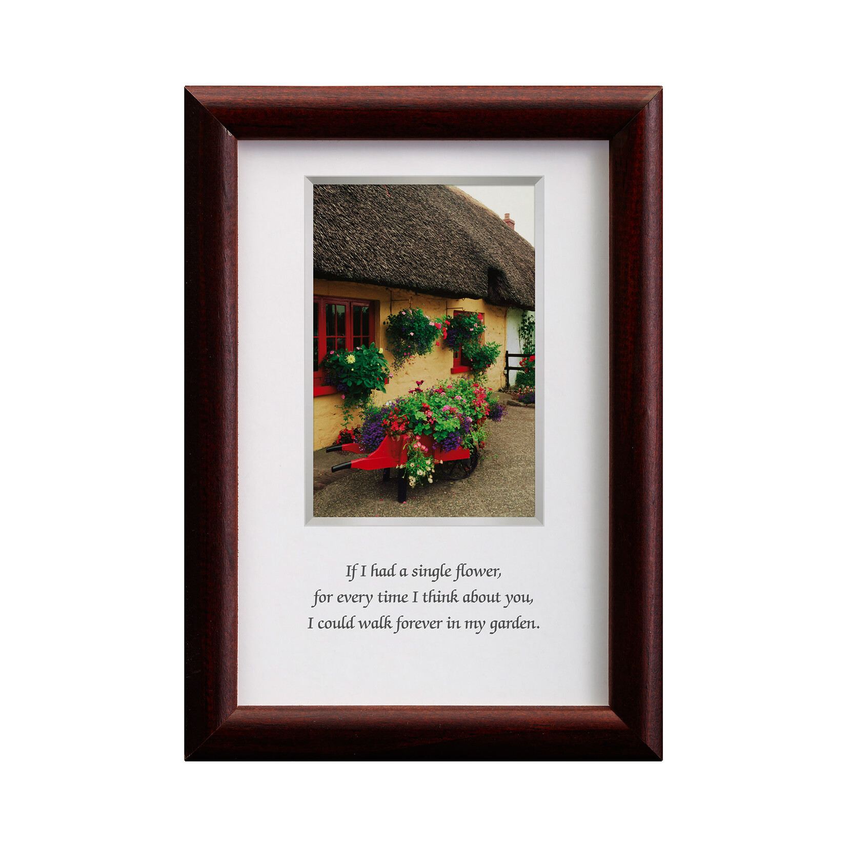 PLAQUES, SIGNS & POSTERS MINI IRISH PRINTS - If I Had A Flower