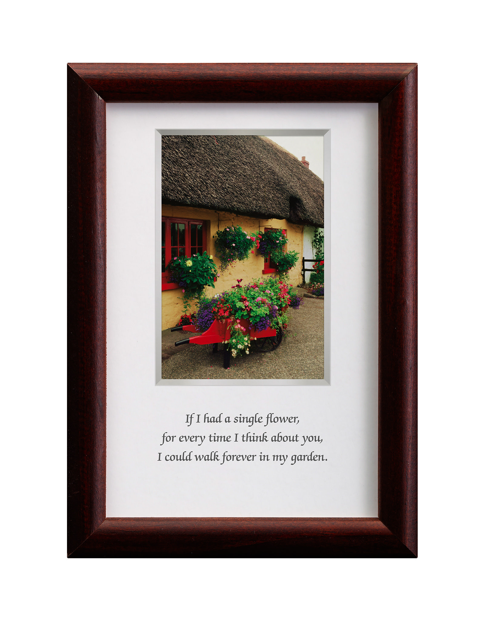 PLAQUES, SIGNS & POSTERS MINI IRISH PRINTS - If I Had A Flower