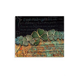 NOVELTY MICROFIBER CLOTH - Shamrock