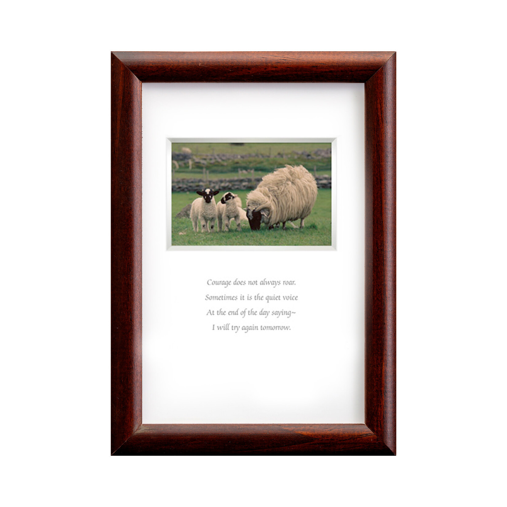 PLAQUES, SIGNS & POSTERS MINI IRISH PRINTS -  Courage Does Not Always