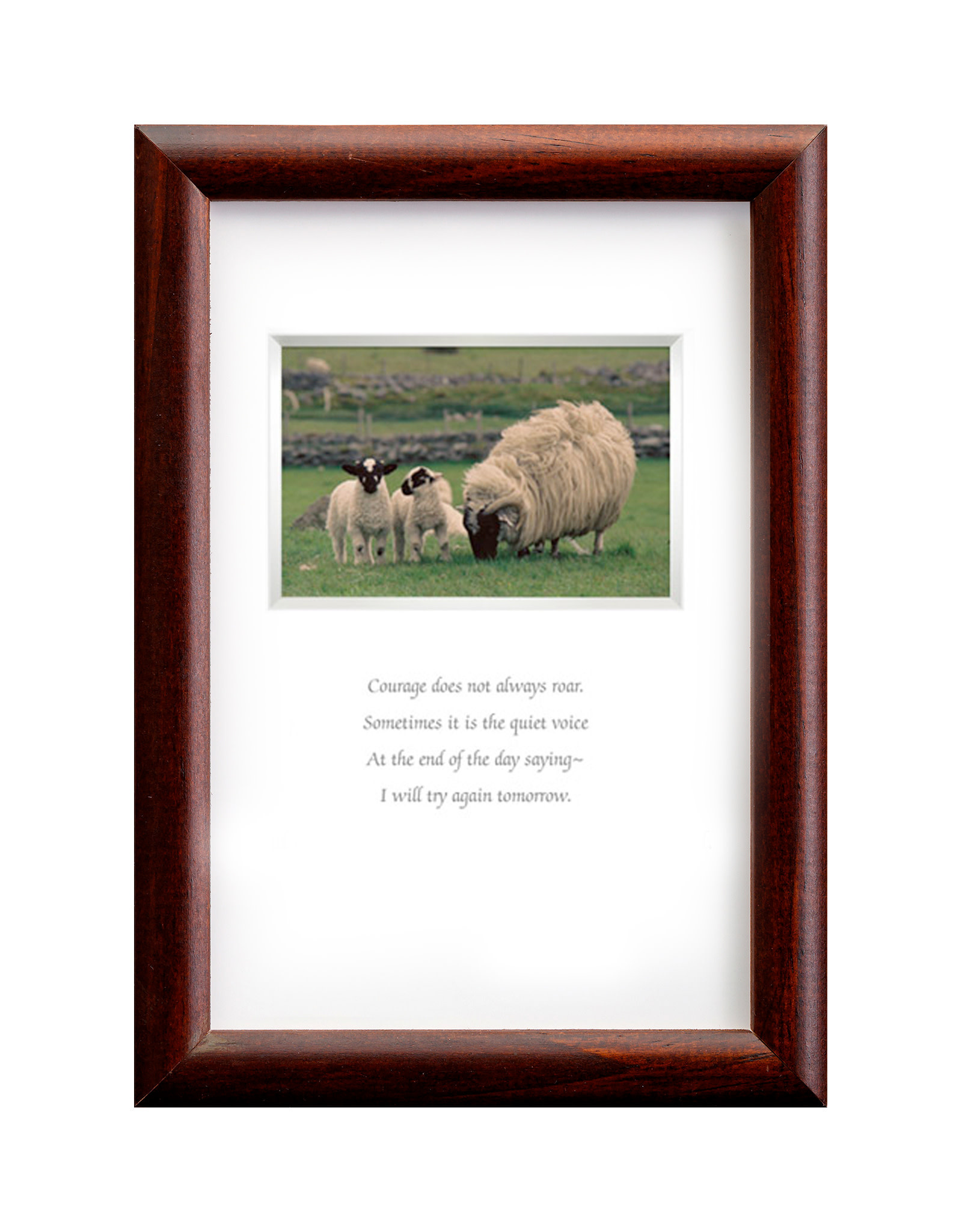 PLAQUES, SIGNS & POSTERS MINI IRISH PRINTS -  Courage Does Not Always