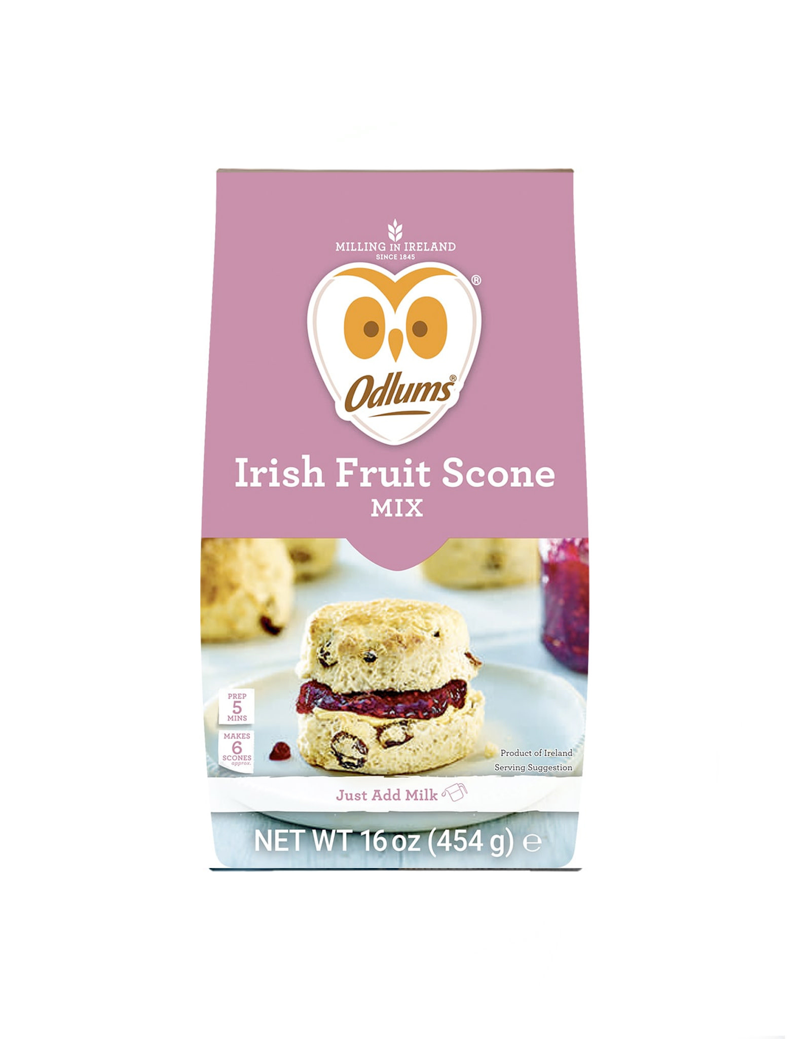 PANTRY STAPLES ODLUMS IRISH FRUIT SCONE MIX (450g)