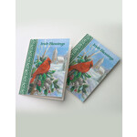 CARDS "IRISH BLESSINGS SPLENDOR of CHRISTMAS" CHRISTMAS CARDS