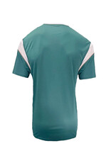 SPORTSWEAR LANSDOWNE BOTTLE GRN CELTIC PERFORMANCE TOP