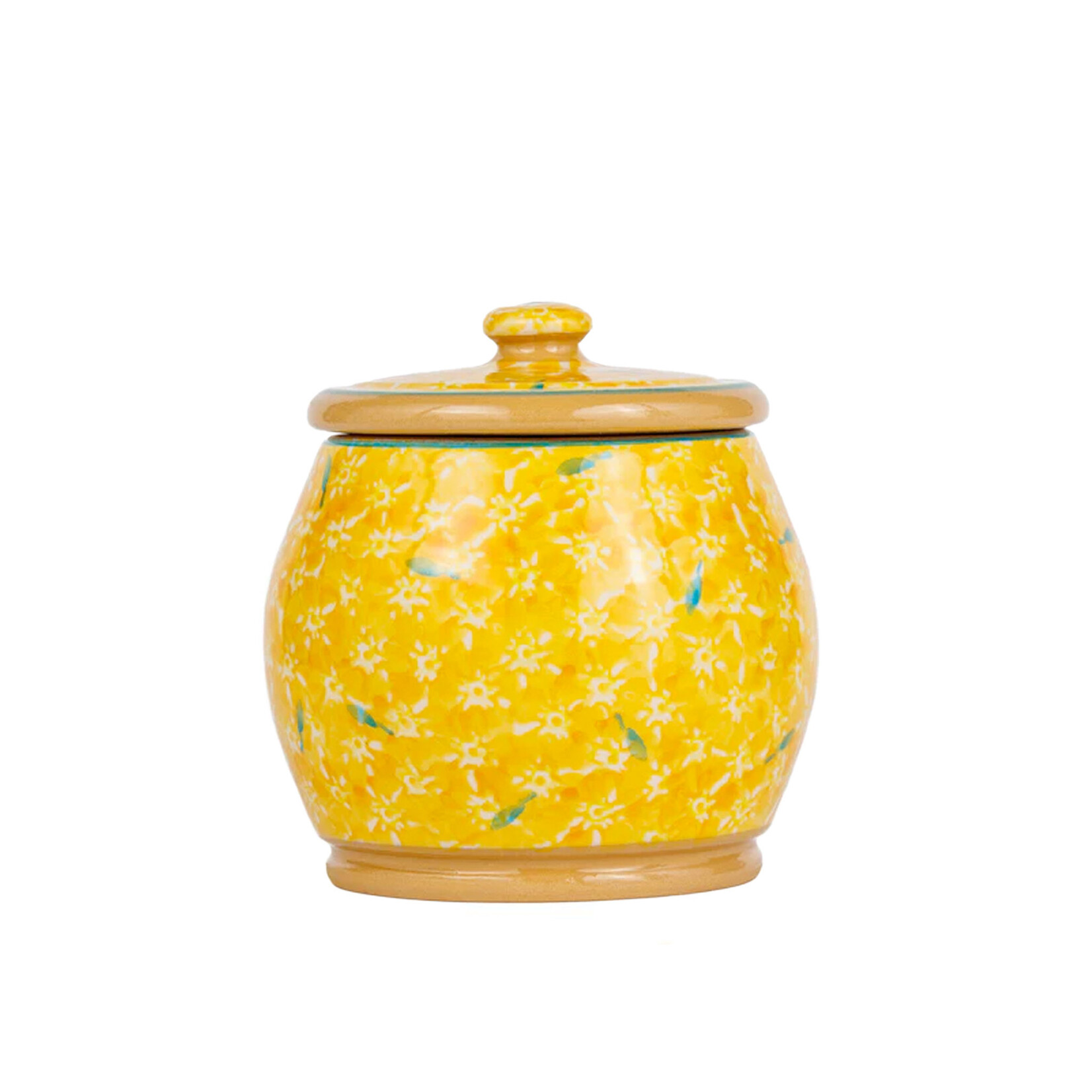 KITCHEN & ACCESSORIES NICHOLAS MOSSE SML ROUND LIDDED JAR - Yellow Lawn