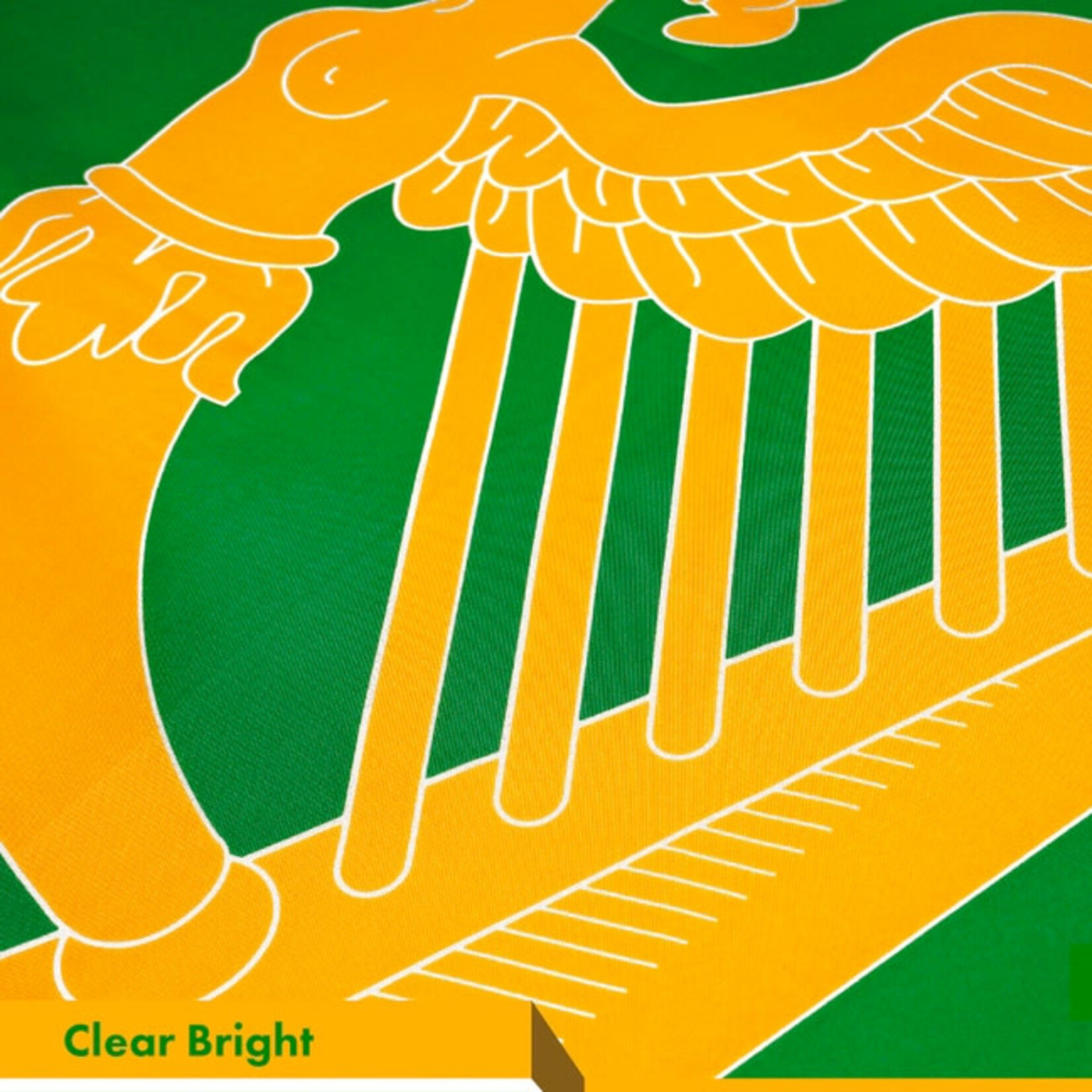 FLAGS & MORE IRELAND 'Erin Go Bragh' FLAG - 3x5ft