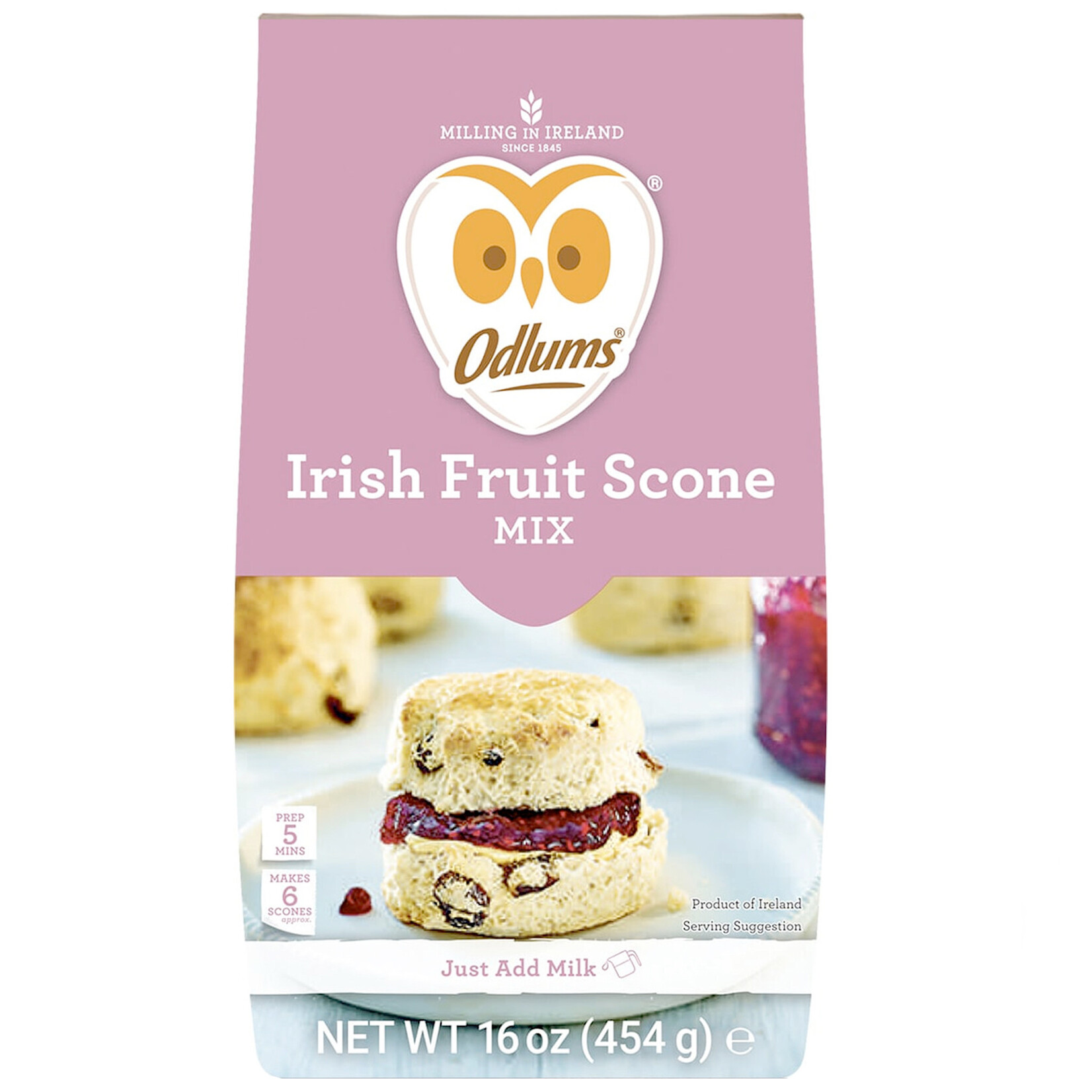 PANTRY STAPLES ODLUMS IRISH FRUIT SCONE MIX (450g)