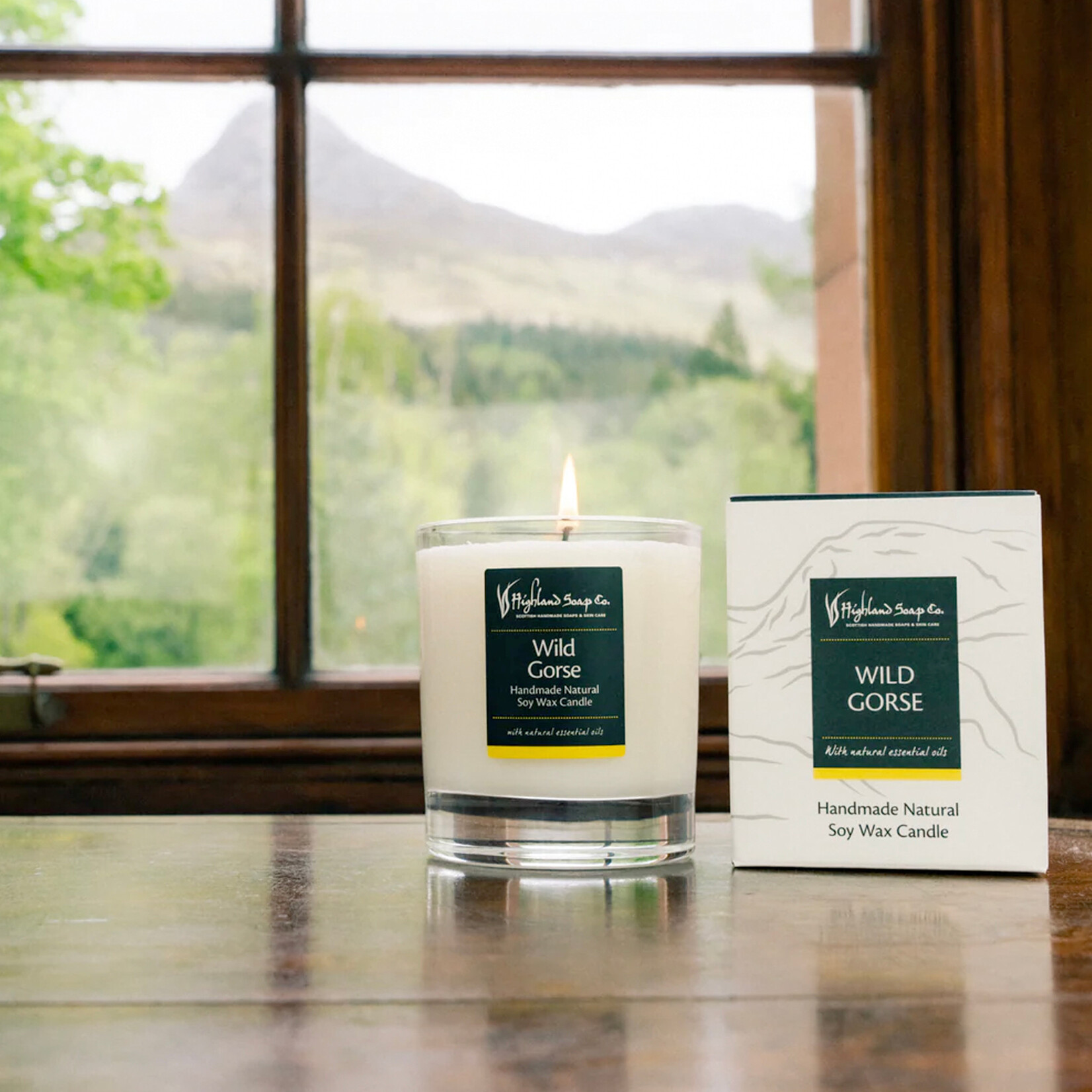 CANDLES HIGHLAND SOAP CO. CANDLE - Wild Gorse