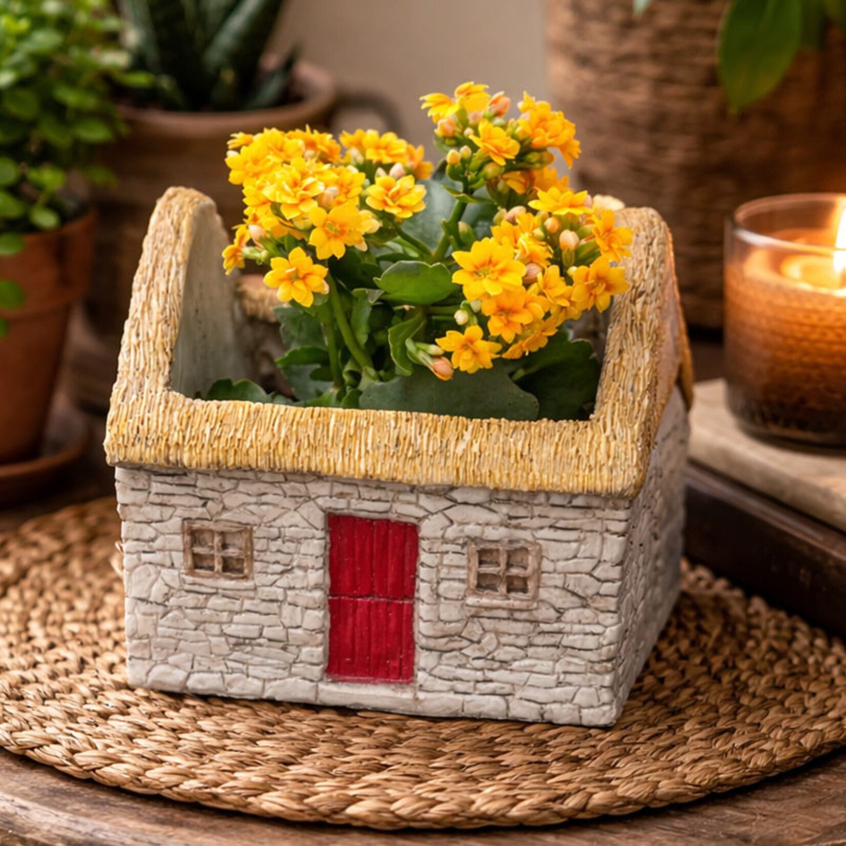 GARDEN O'Gowna ARAN ISLAND COTTAGE PLANTER