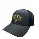 CAPS & HATS IRELAND GRY BLK TRUCKER HAT