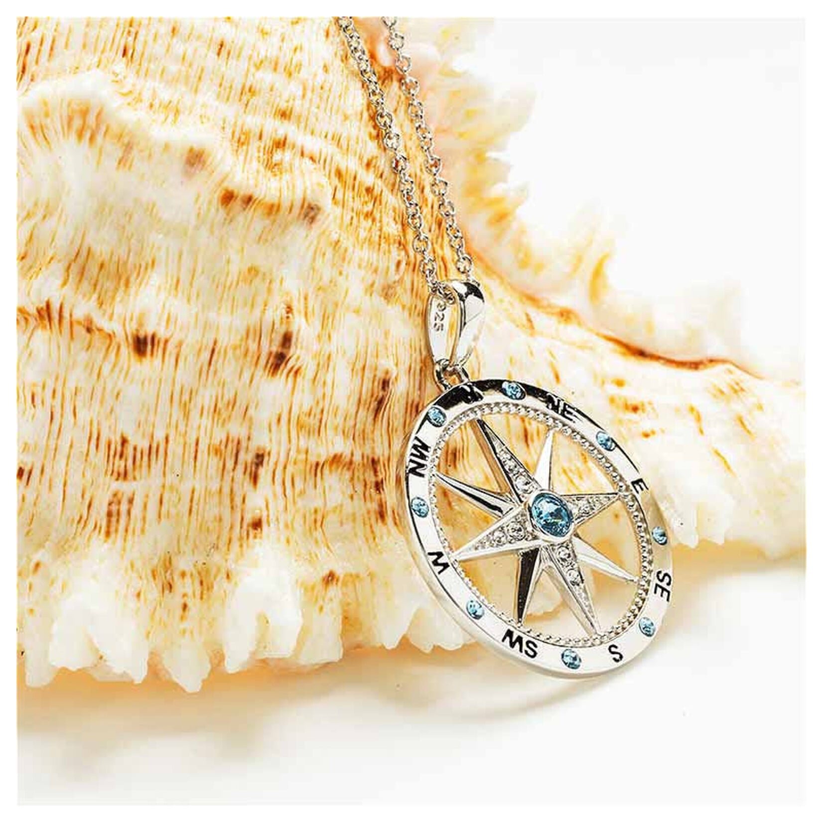 PENDANTS & NECKLACES OCEAN STERLING COMPASS PENDANT w AQUA & WHT CRYSTALS