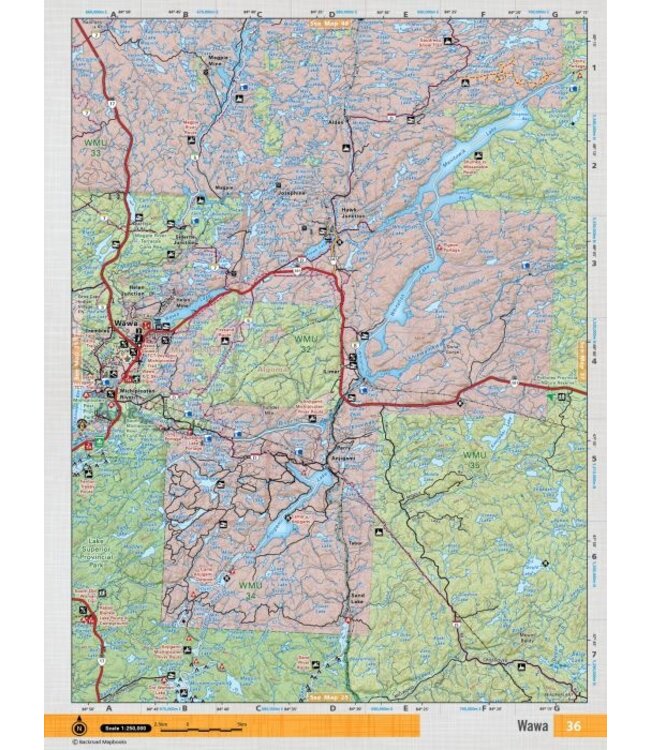Backroad Mapbooks Backroads Mapbooks ON TOPO MAP WATERPROOF MAP NEON-36 Wawa