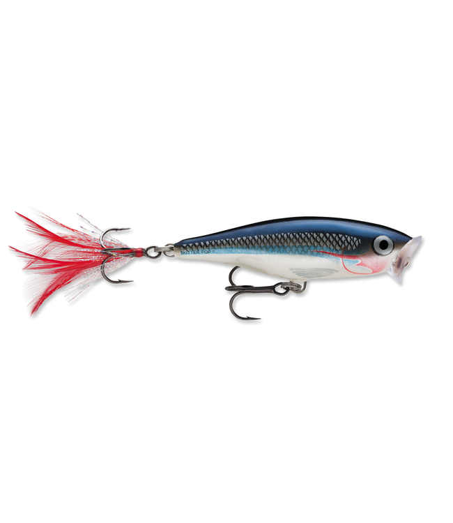 Rapala Rapala Skitter Pop 3 1/2"