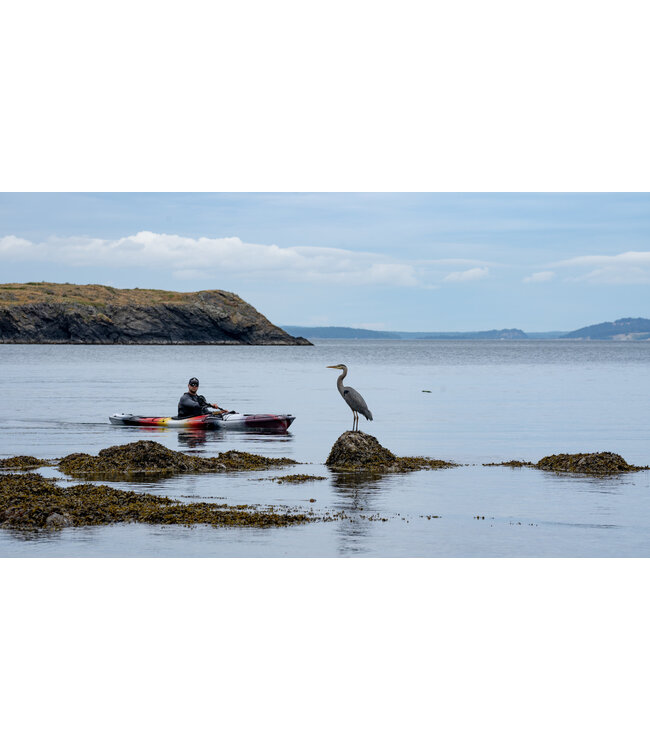 Wilderness Systems Wilderness Systems Tsunami 145 Kayak - Infinite Yellow