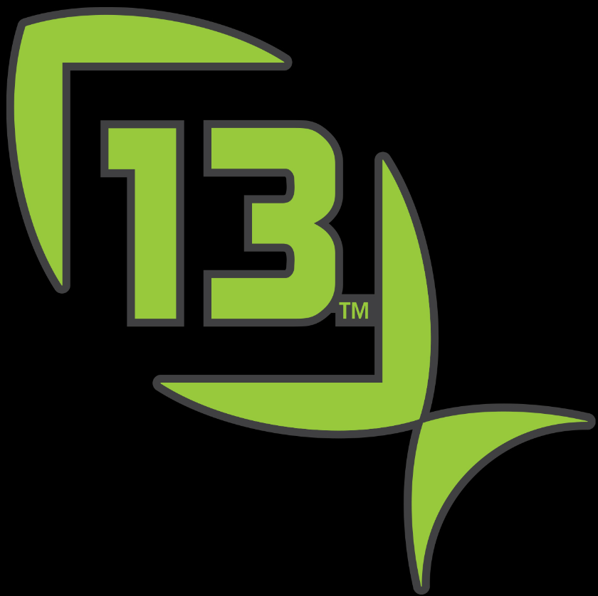 13 FISHING - Decal Lime Green Medium - 9x9