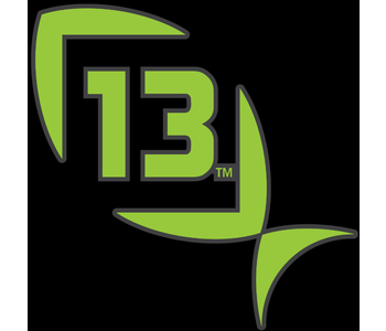 13 Fishing - Decal Lime Green Medium 9"x 9"